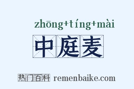 中庭麦是什么意思的图片